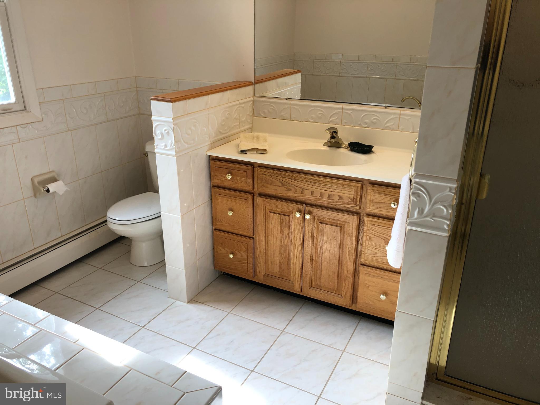 685 New Galena Road Chalfont, PA 18914 - Photo 41 of 62 Hall Bathroom