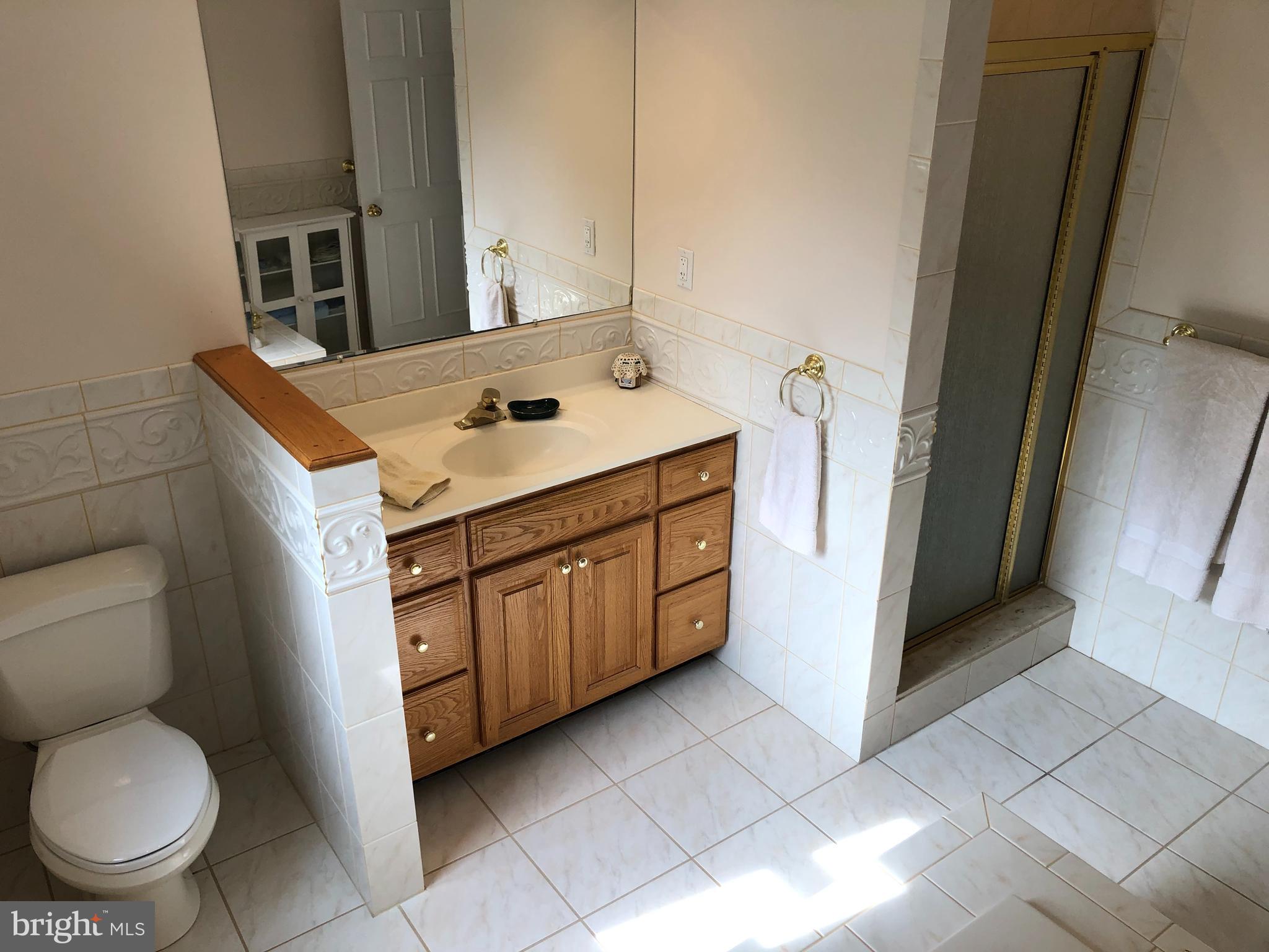 685 New Galena Road Chalfont, PA 18914 - Photo 42 of 62 Hall Bathroom
