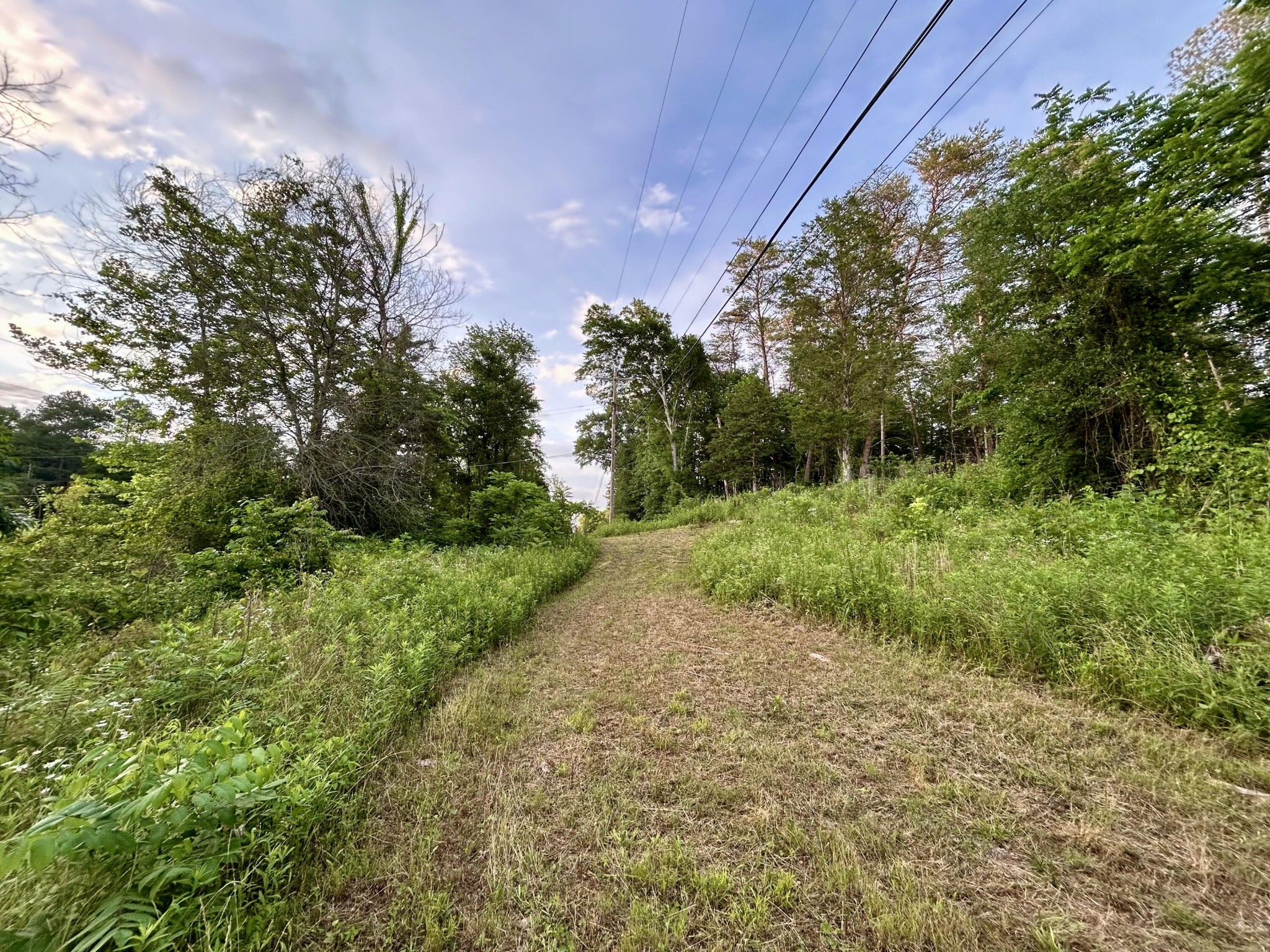 2 Parksville Road Benton, TN 37307 - Photo 1 of 5 Gallery Image 1