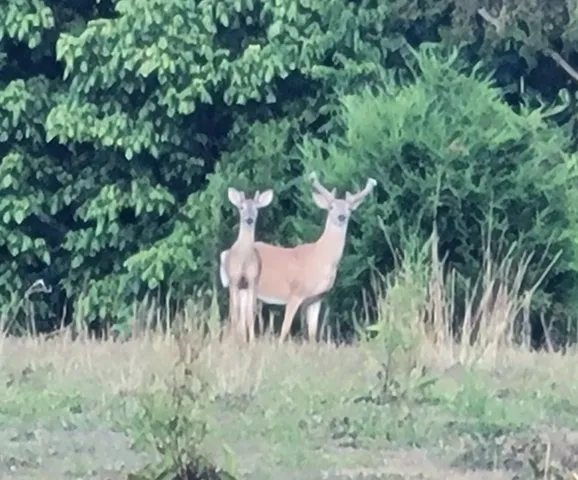 $1,245,000 | 7474 Nashville Highway, Dowelltown, TN 37059