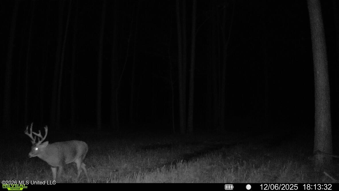 425 Rose Hill Road Bentonia, MS 39040 - Photo 133 of 150 BAD4390C-04D1-43B9-B6F1-FE78163C49D3_1_1