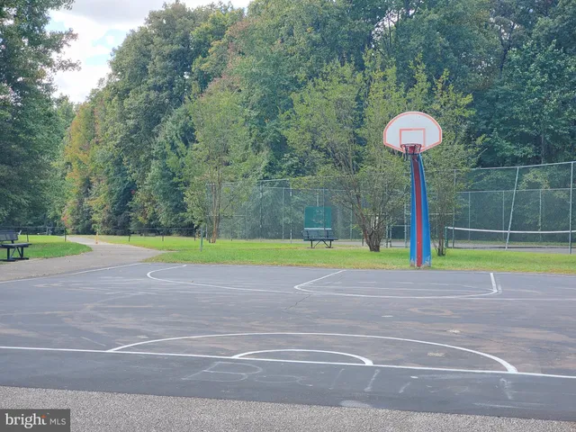 a view of a house with a yard and large tree