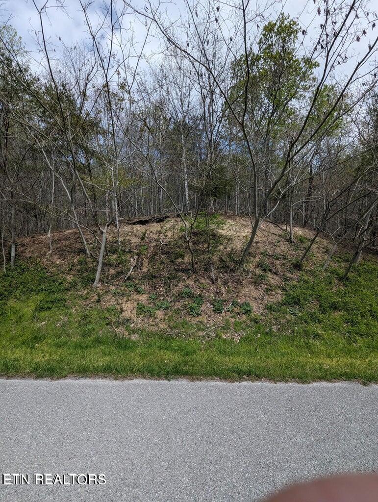 Tbd Bluff View Road New Tazewell, TN 37825 - Photo 1 of 5 IMG_0421