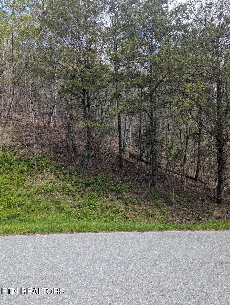 Tbd Bluff View Road New Tazewell, TN 37825 - Photo 2 of 5 IMG_0418