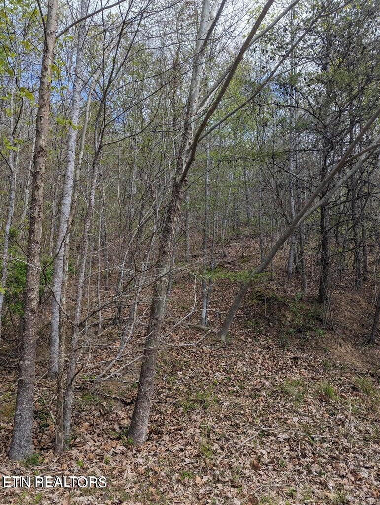 Tbd Bluff View Road New Tazewell, TN 37825 - Photo 3 of 5 IMG_0417
