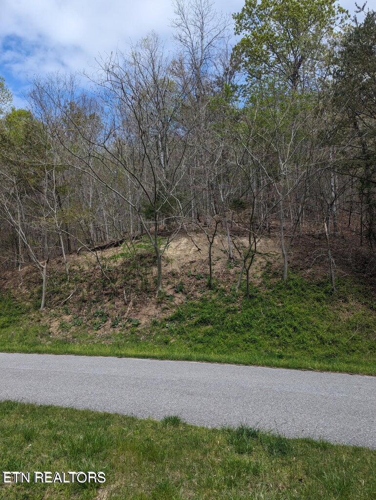 Tbd Bluff View Road New Tazewell, TN 37825 - Photo 4 of 5 IMG_0419
