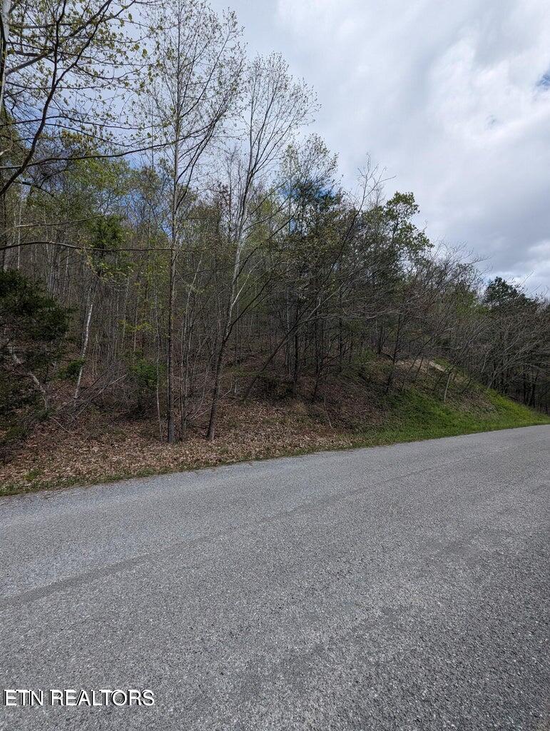 Tbd Bluff View Road New Tazewell, TN 37825 - Photo 5 of 5 IMG_0420