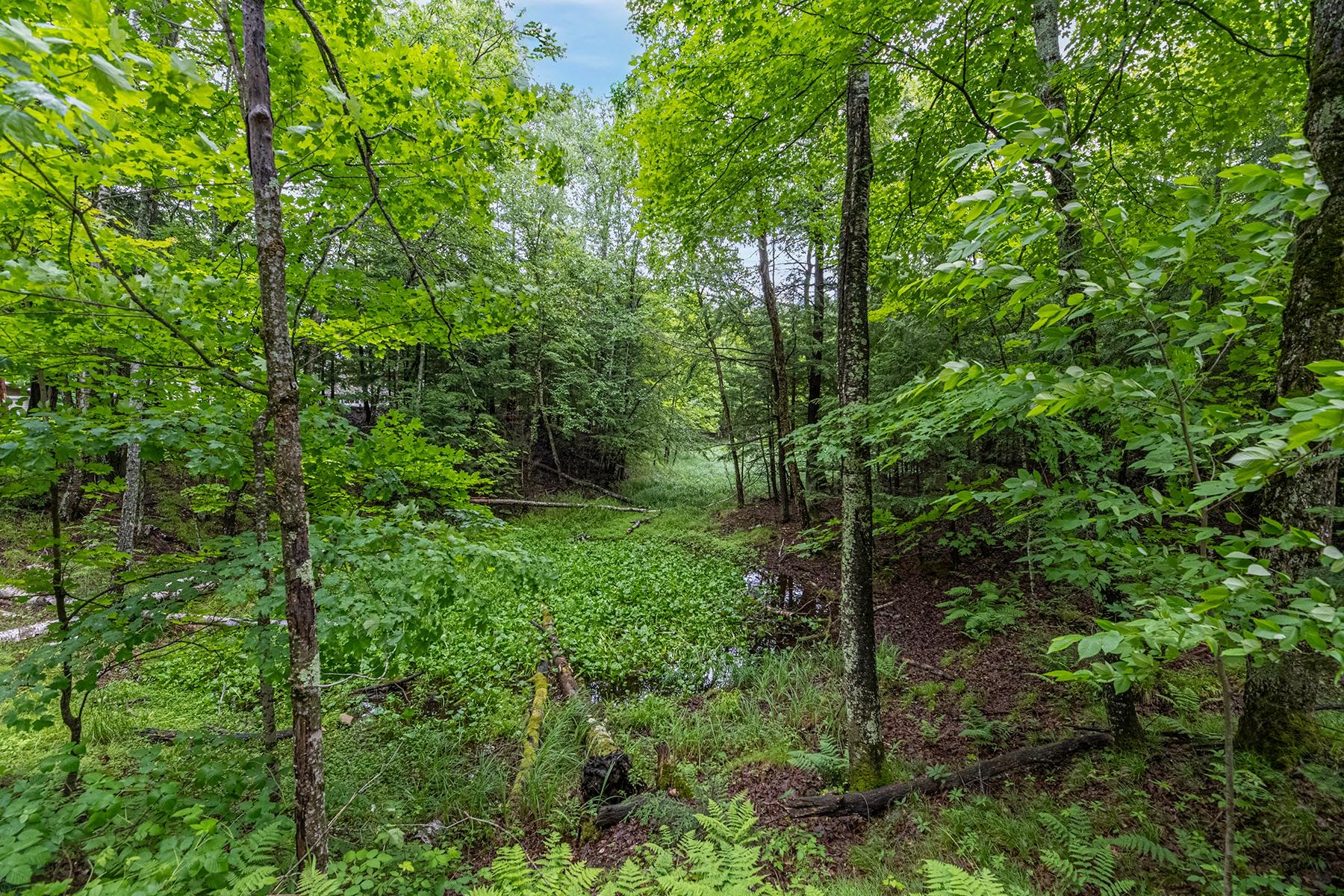 6269 Gensler Road Three Lakes, WI 54562 - Photo 36 of 37 Gallery Image 36