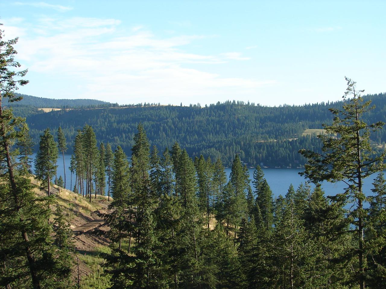 97 East O'Gara Road Harrison, ID 83833 - Photo 1 of 1 Views