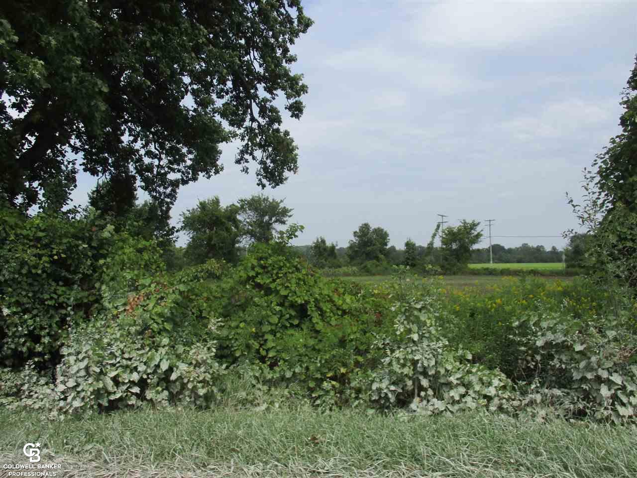 0 Angling Road, Unit 6 Richmond, MI 48062 - Photo 9 of 11