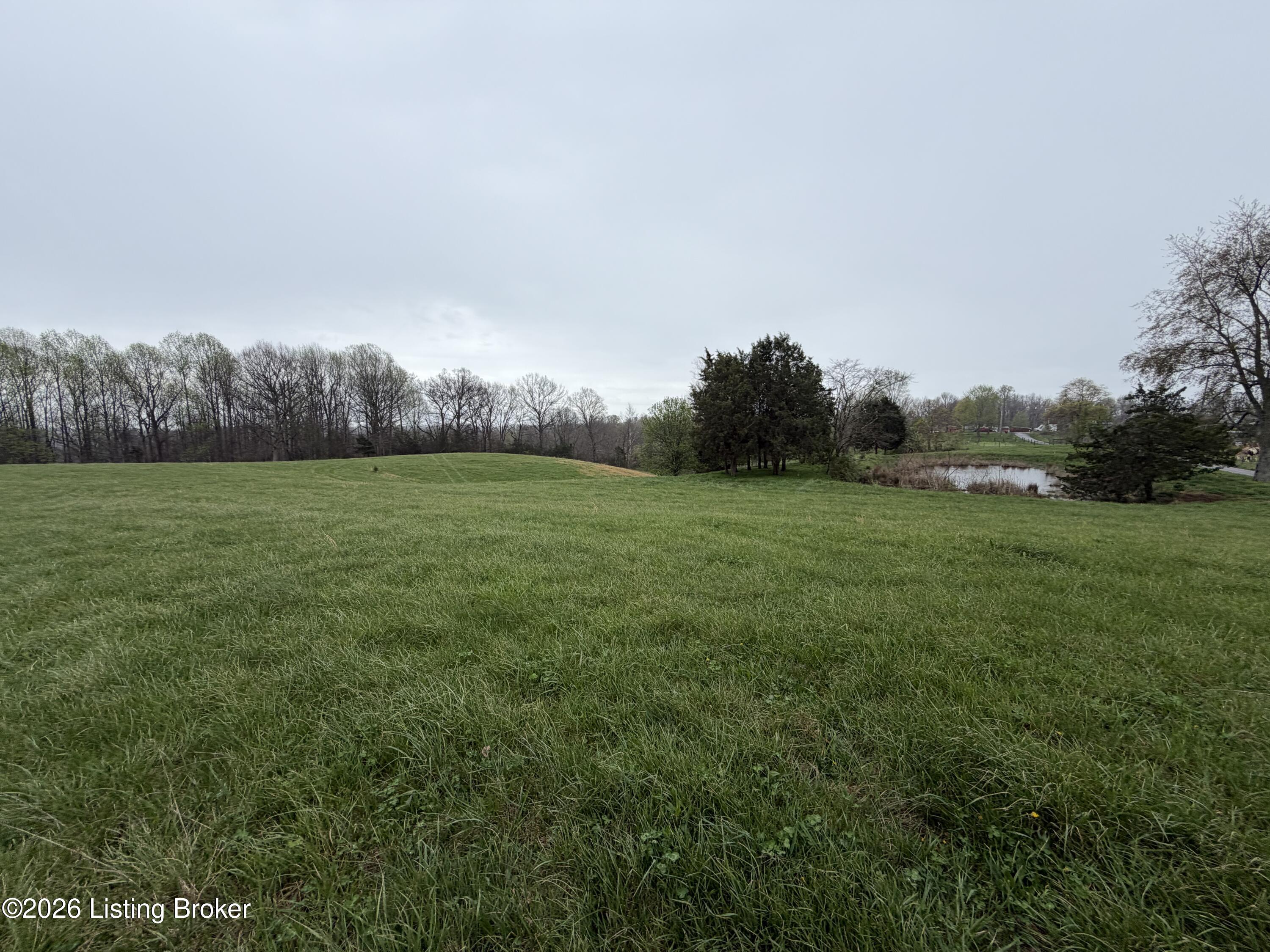 2 Mc Dowell Road Bedford, KY 40006 - Photo 3 of 11 IMG_2124