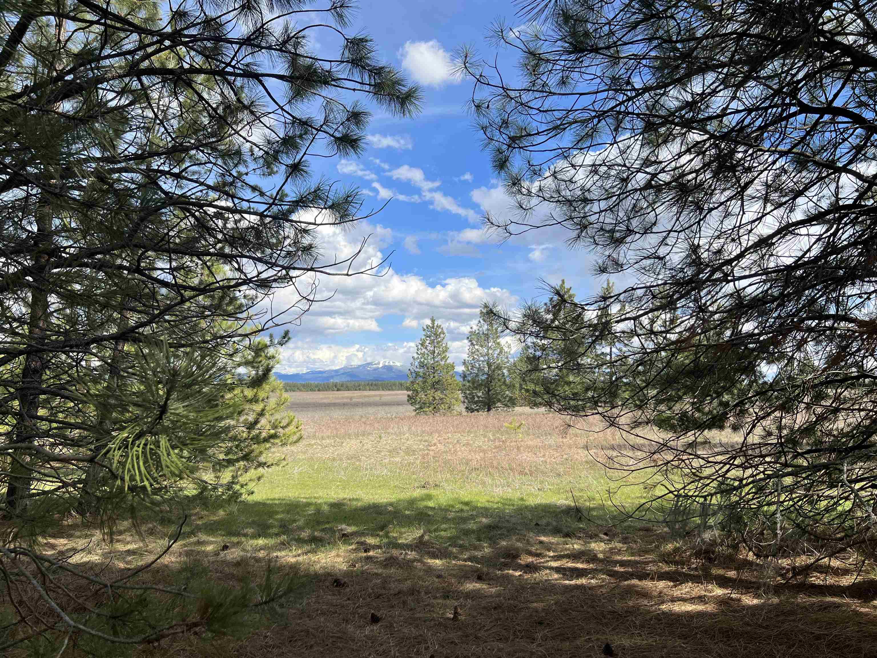 Nka West Findley Road, Unit LOT 1 Deer Park, WA 99006 - Photo 11 of 13