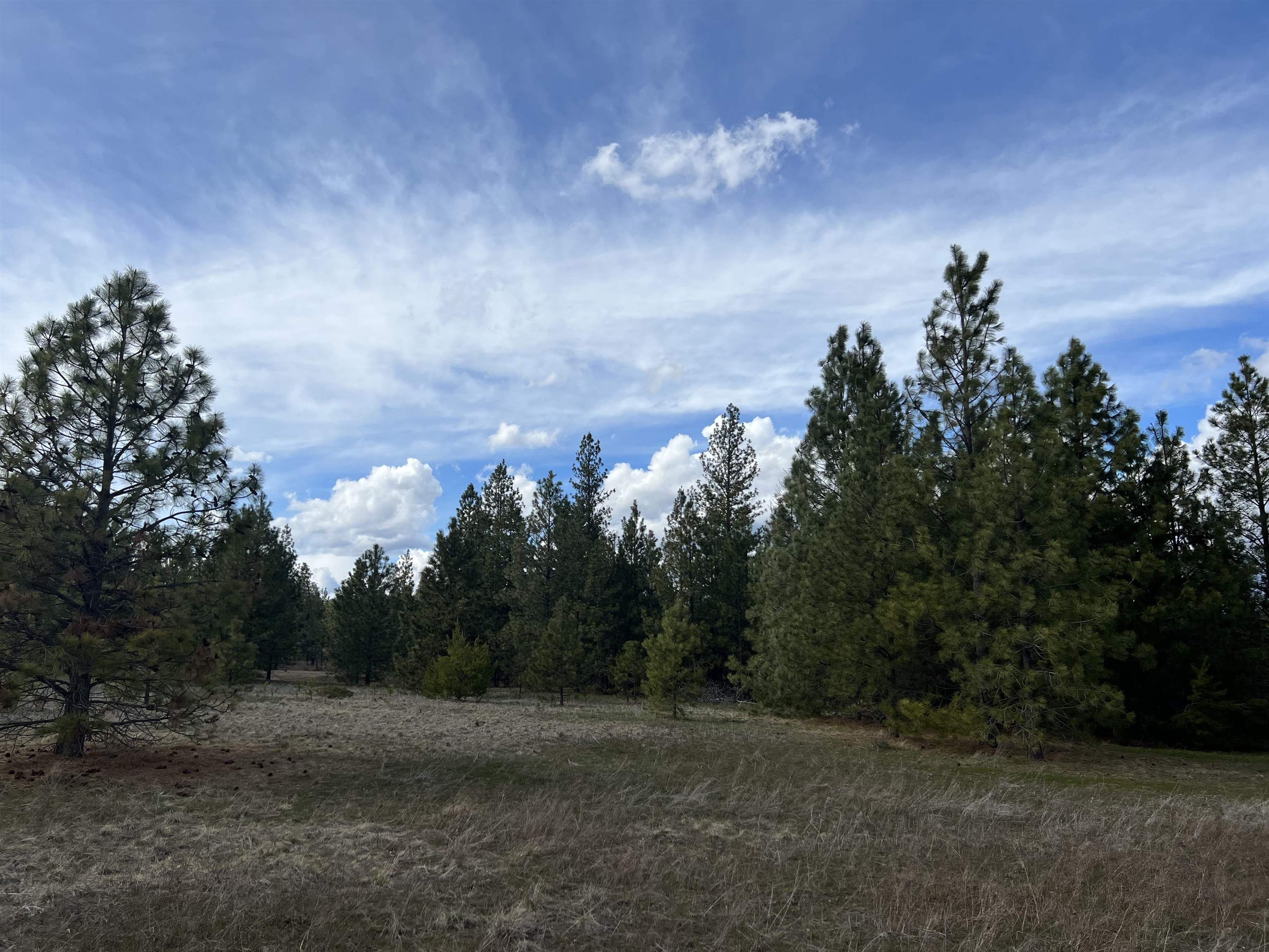 Nka West Findley Road, Unit LOT 1 Deer Park, WA 99006 - Photo 12 of 13