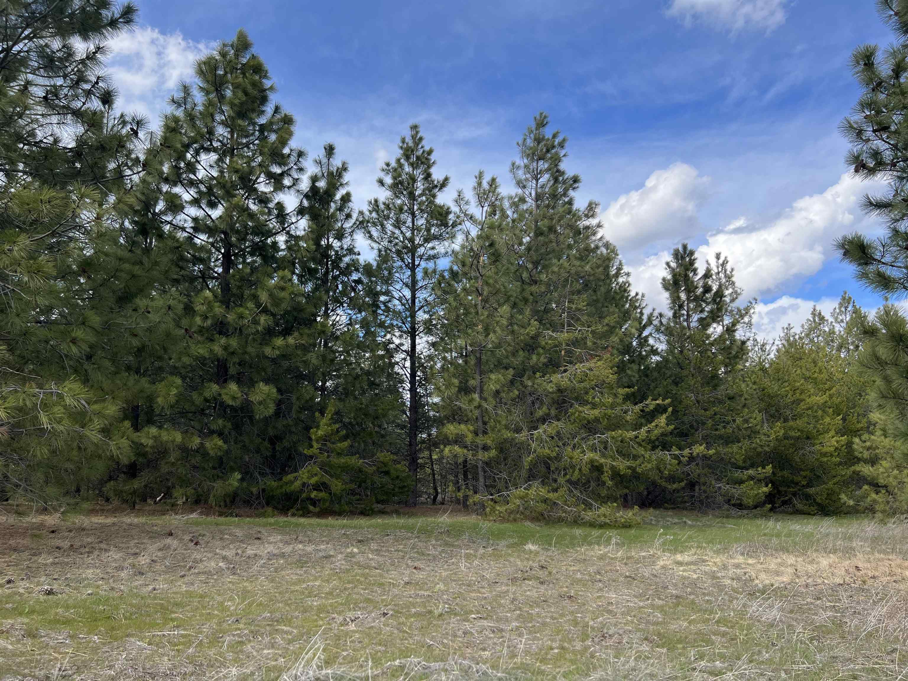 Nka West Findley Road, Unit LOT 1 Deer Park, WA 99006 - Photo 13 of 13