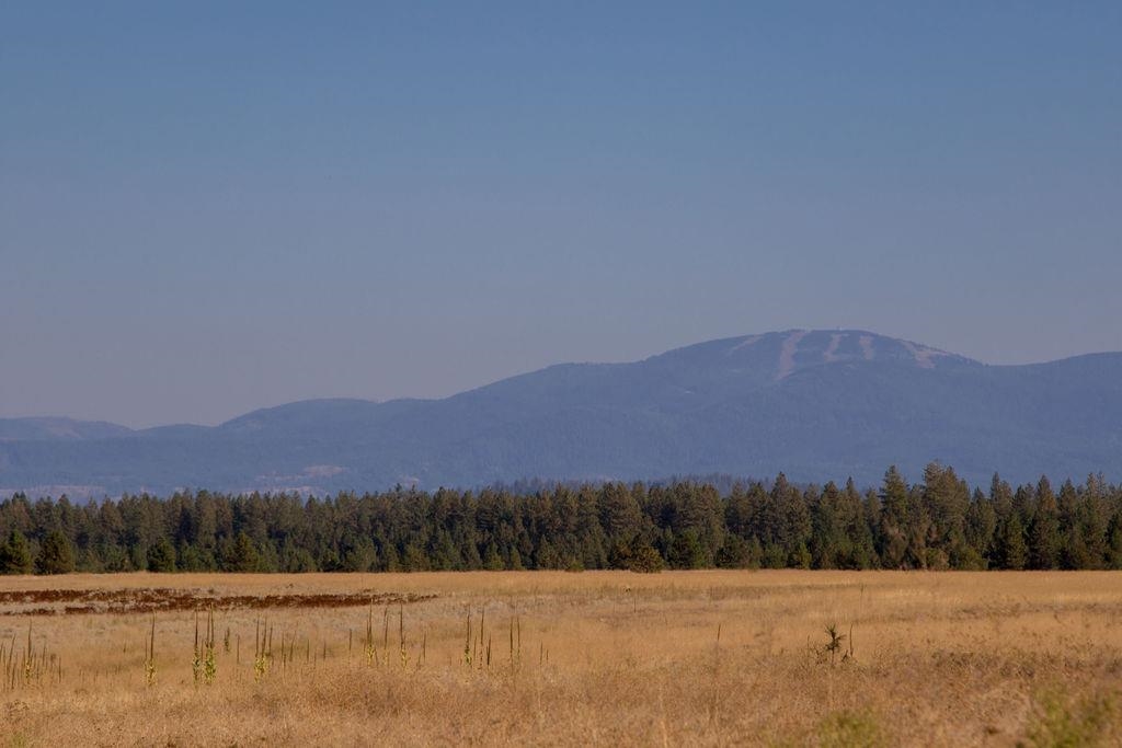 Nka West Findley Road, Unit LOT 1 Deer Park, WA 99006 - Photo 9 of 13