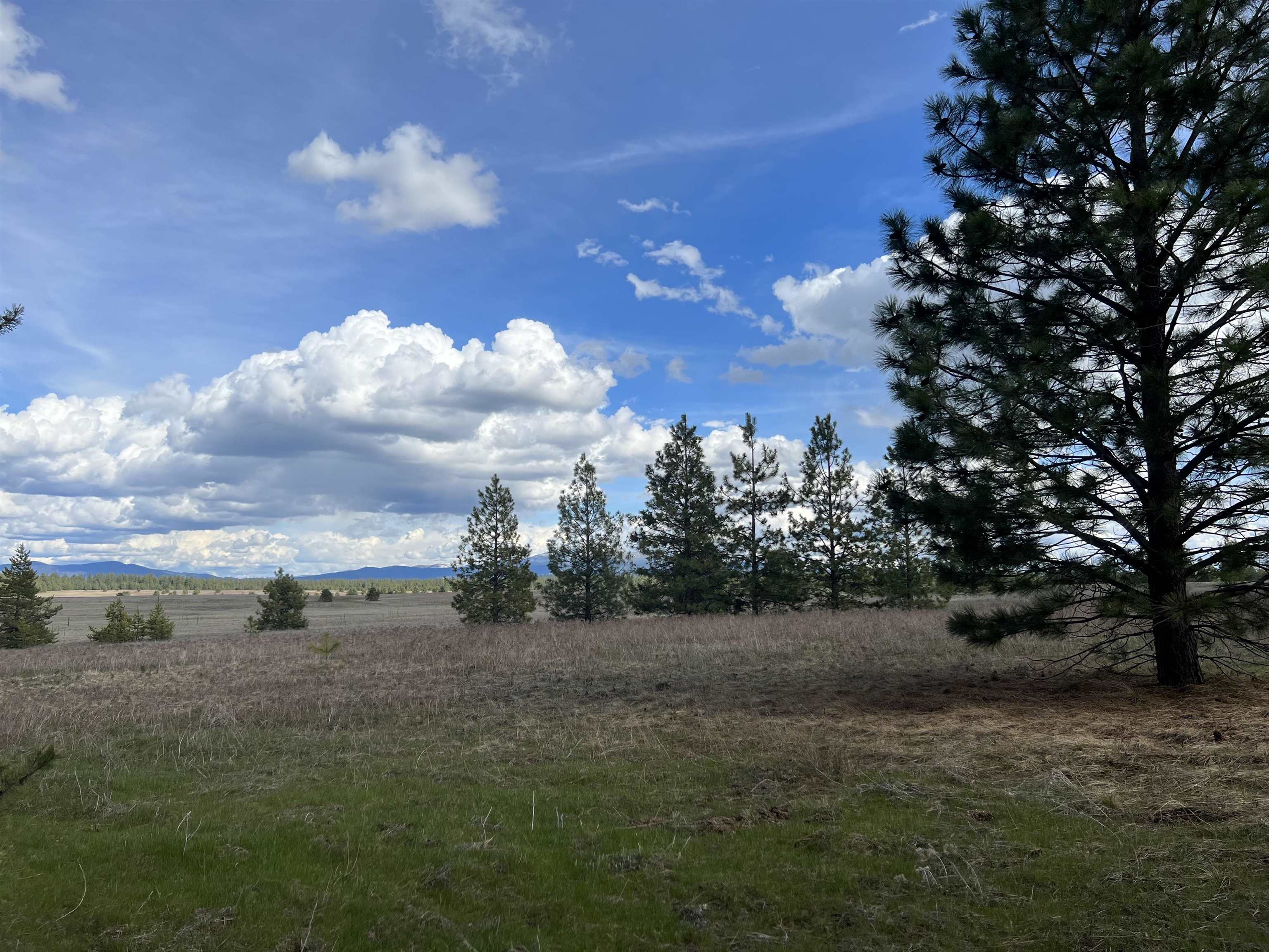 Nka West Findley Road, Unit LOT 1 Deer Park, WA 99006 - Photo 10 of 13