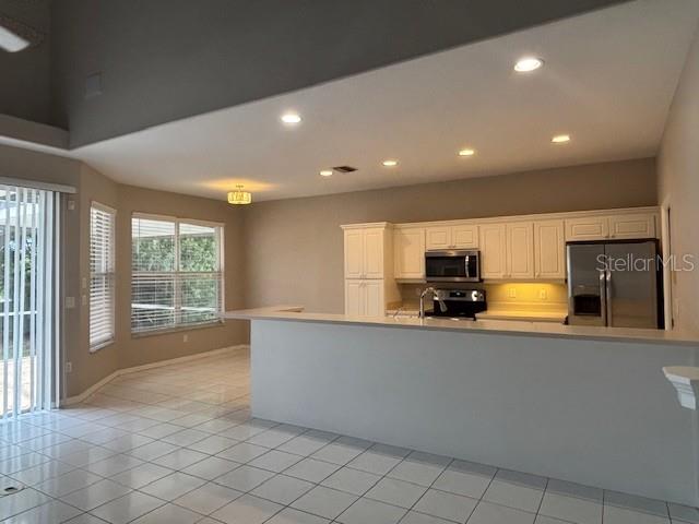 336 Brookside Court Palm Harbor, FL 34683 - Photo 7 of 21