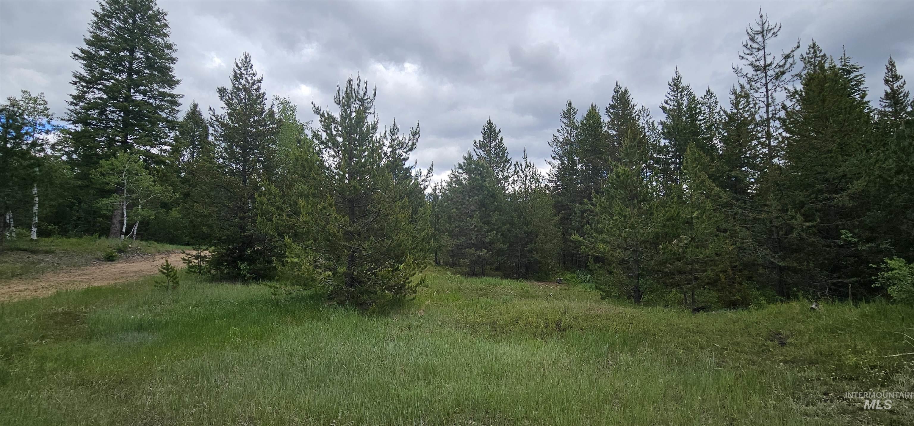 23 Sawtooth Loop Cascade, ID 83611 - Photo 39 of 45
