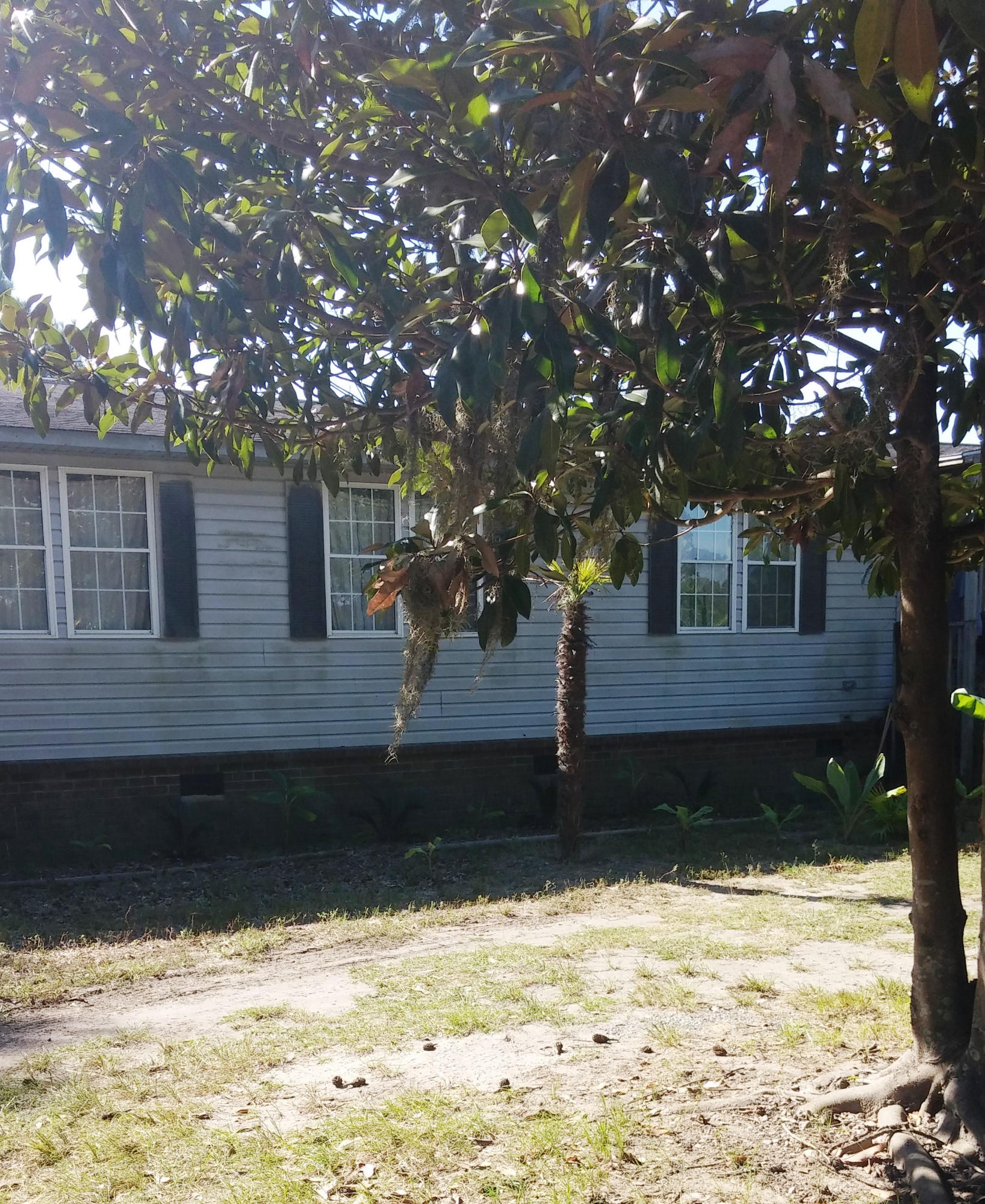 454 Tannenbaum Road Ravenel, SC 29470 - Photo 1 of 1 Tannenbaum Pic 1