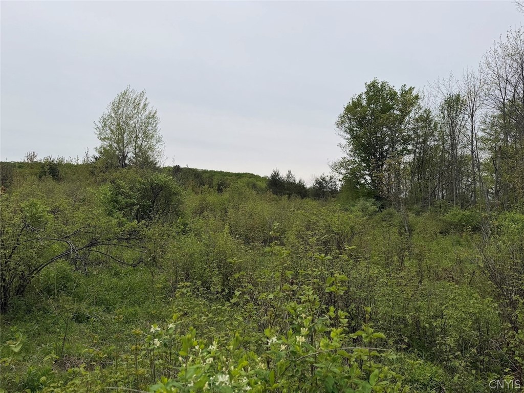 Reynolds Road Franklinville, NY 14737 - Photo 24 of 38