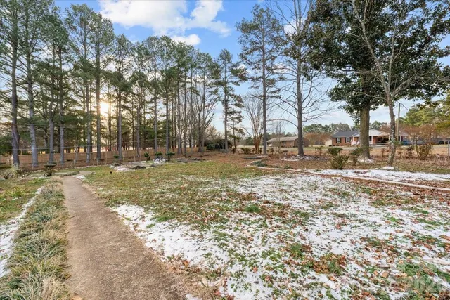 a view of road with trees