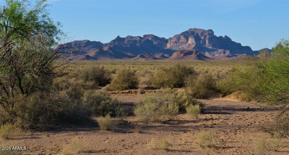45742 West Narramore Road Tonopah, AZ 85354 - Photo 13 of 15 45742 W Narramore RD