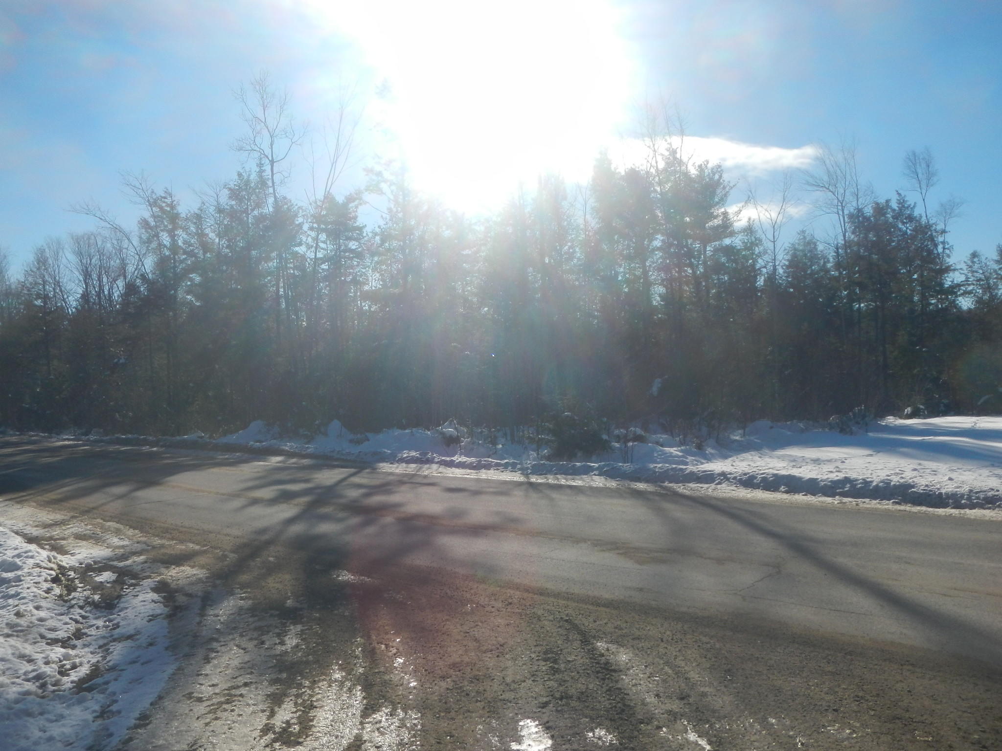 Lot A Pea Ridge Road Lincoln, ME 04457 - Photo 3 of 6 DSCN7973