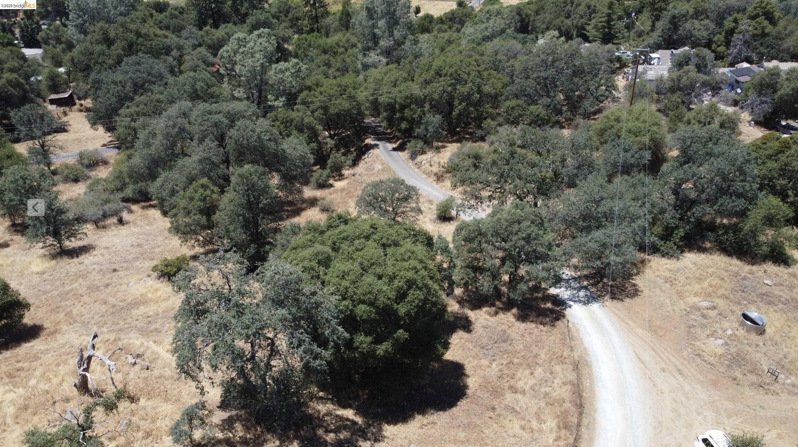 18195 Wards Ferry Road Sonora, CA 95370 - Photo 60 of 67 Expansive wooded parcel featuring mature trees and established natural vegetation