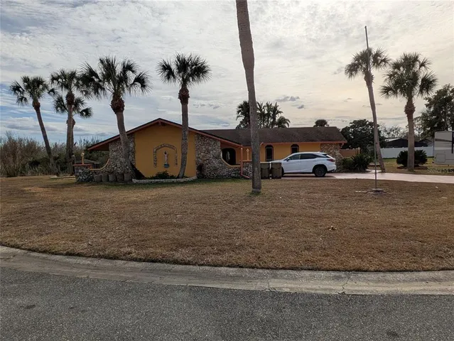 a view of yard with palm trees
