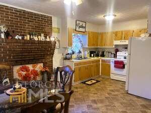 225 Outlaw Road Midville, GA 30441 - Photo 3 of 19 3
