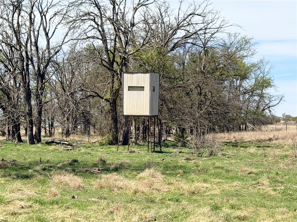 7642 Cr 512 Road Hamilton, TX 76531 - Photo 4 of 11 a backyard of a house with lots of green space