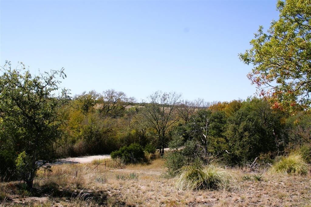 7642 Cr 512 Road Hamilton, TX 76531 - Photo 7 of 11 a view of a forest with a tree in the background