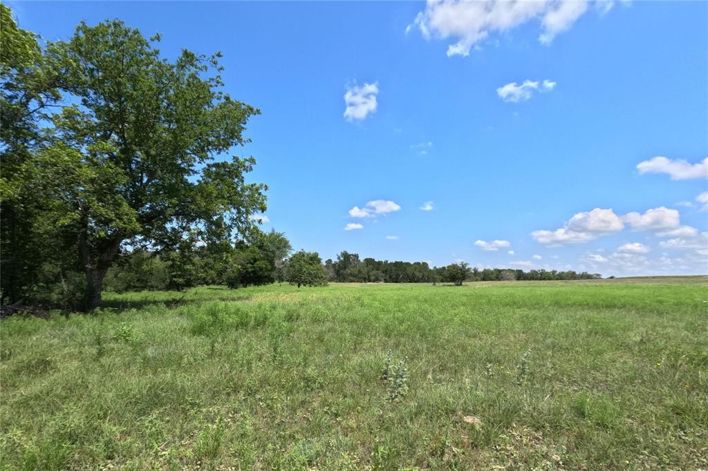 7642 Cr 512 Road Hamilton, TX 76531 - Photo 9 of 11 a view of a grassy field with trees in the background