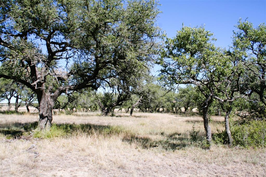 7642 Cr 512 Road Hamilton, TX 76531 - Photo 10 of 11 a view of snow in a yard