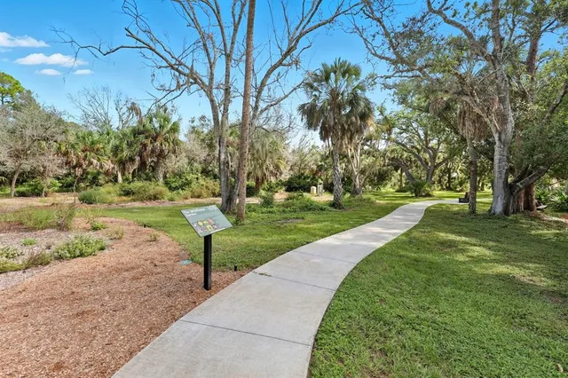 a view of a park with large trees
