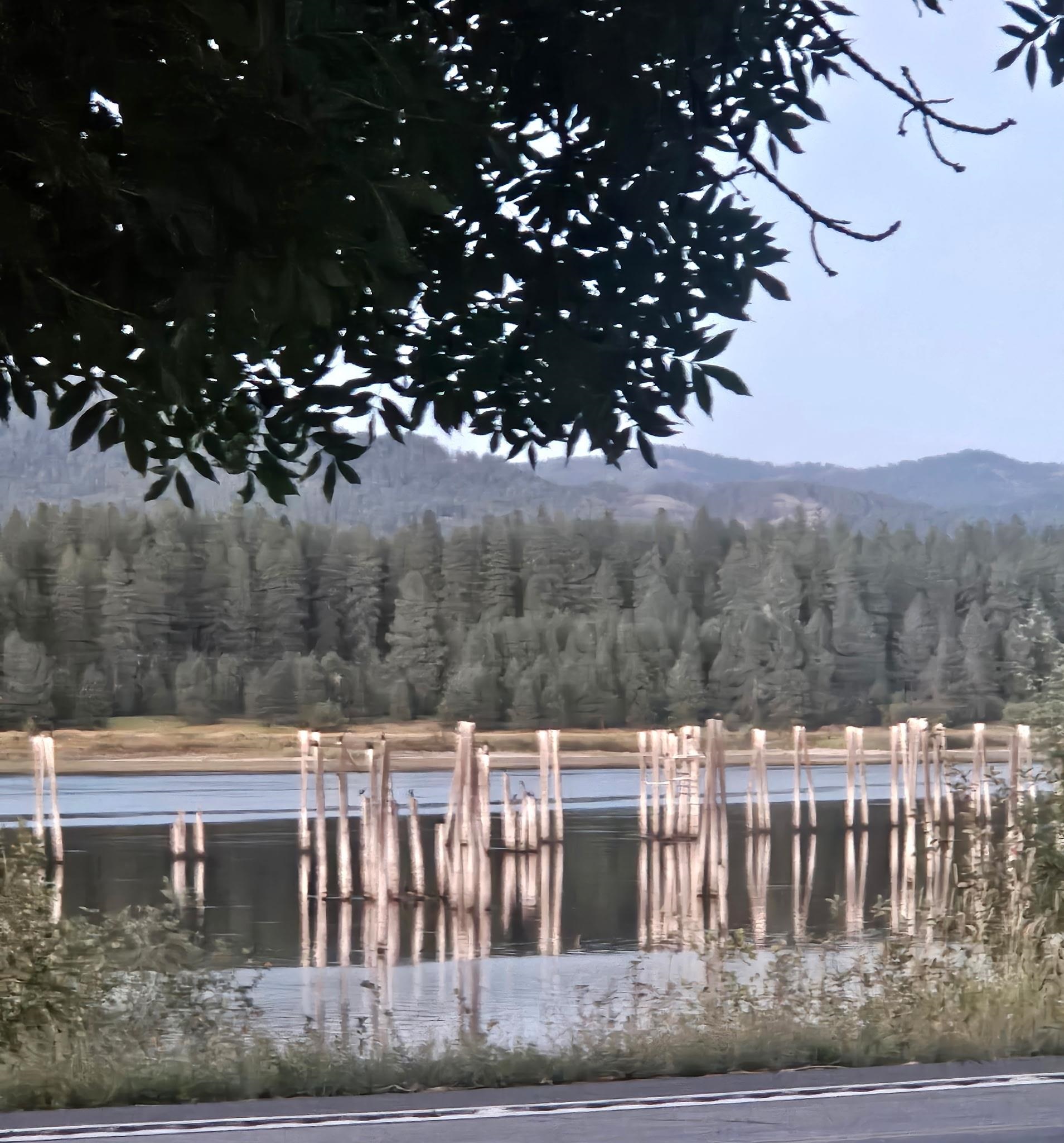 305 River Road Usk, WA 99180 - Photo 25 of 31