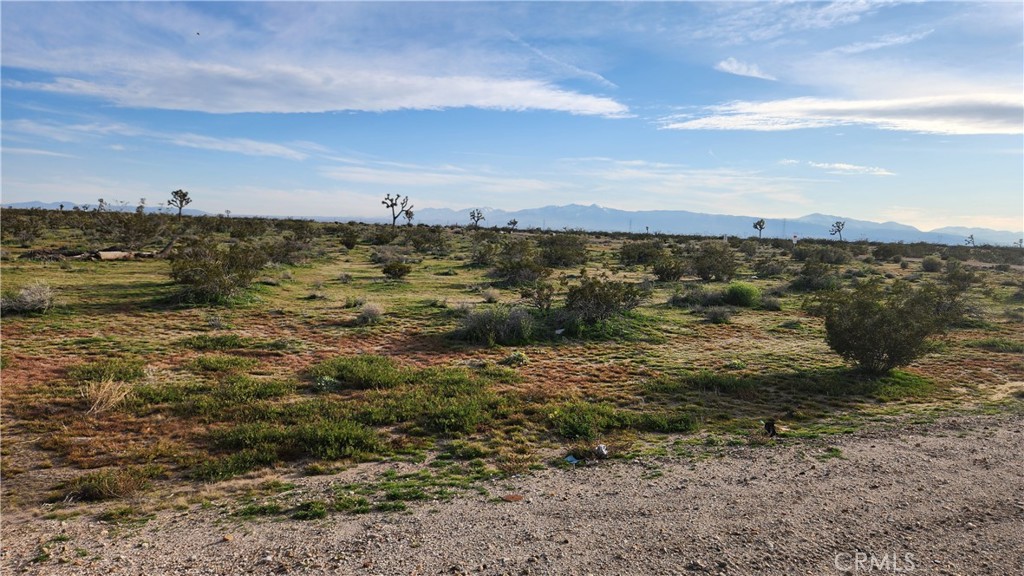 4590260 De Soto Adelanto Ca  