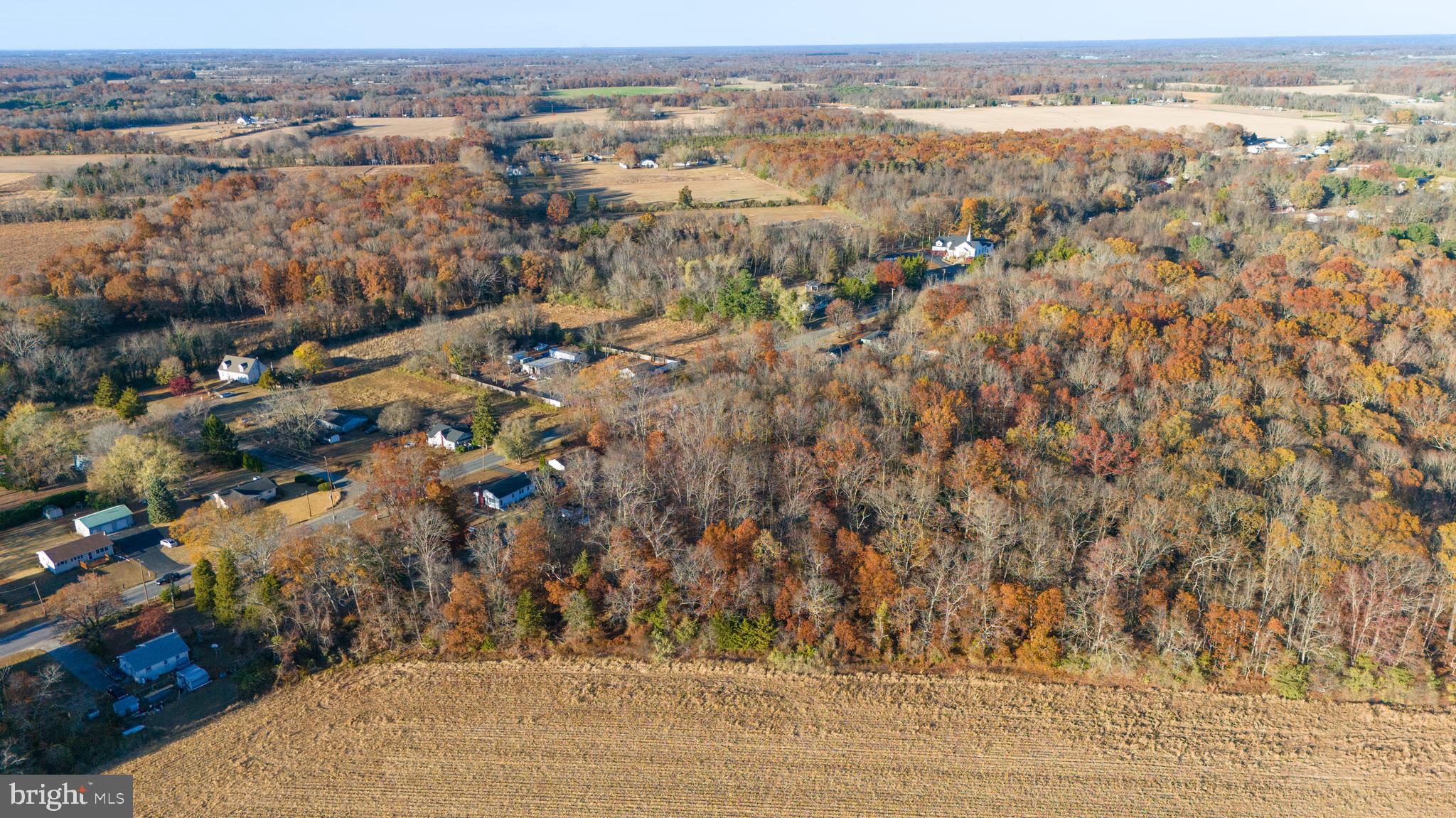 641 Fordville Road Bridgeton, NJ 08302 - Photo 16 of 20