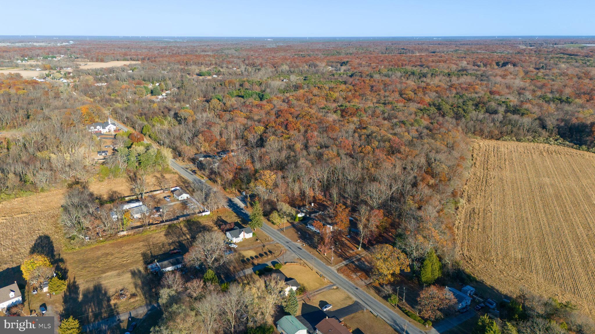 641 Fordville Road Bridgeton, NJ 08302 - Photo 4 of 20