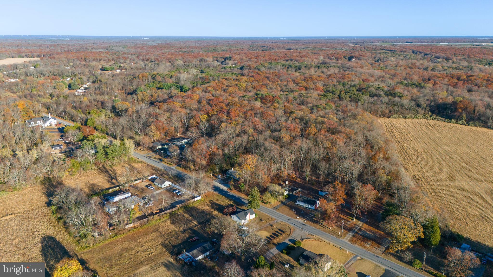 641 Fordville Road Bridgeton, NJ 08302 - Photo 6 of 20