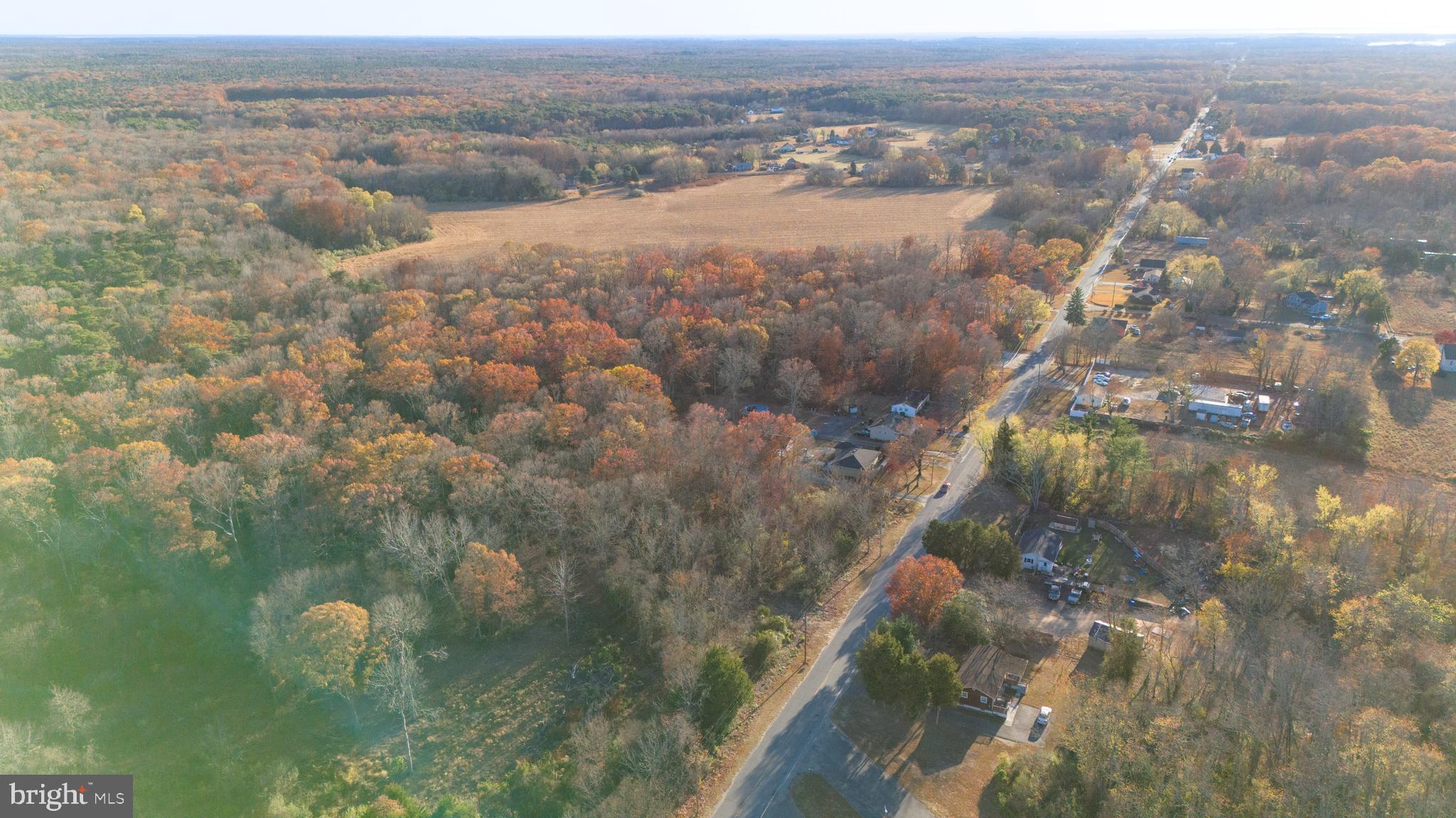 641 Fordville Road Bridgeton, NJ 08302 - Photo 10 of 20