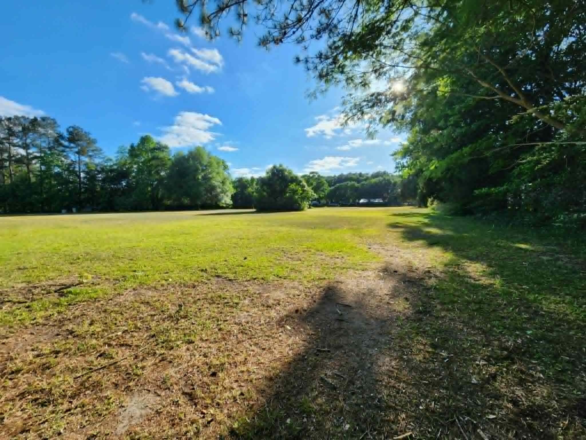 0 Cane Gully Road Moncks Corner, SC 29461 - Photo 10 of 15 Right tree line from Cane Gully Rd