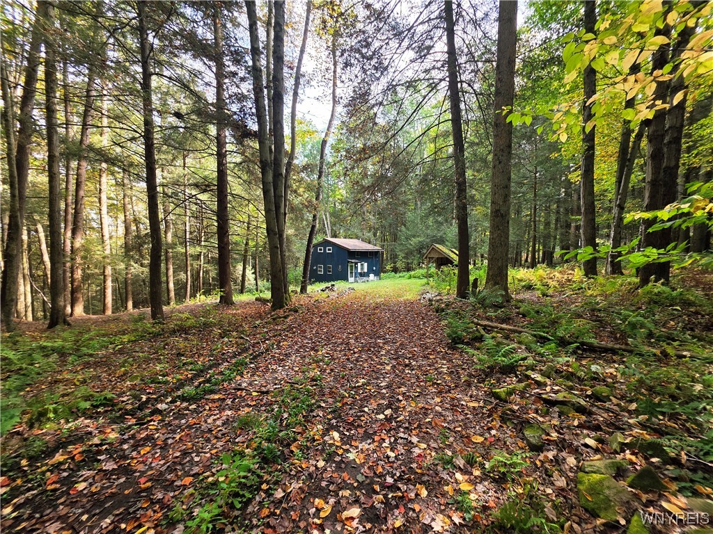 7629 Russell Hill Road Caneadea, NY 14717 - Photo 33 of 48