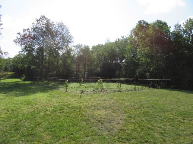 17602 Hibma Road Tustin, MI 49688 - Photo 66 of 94 1837120-65.JPG