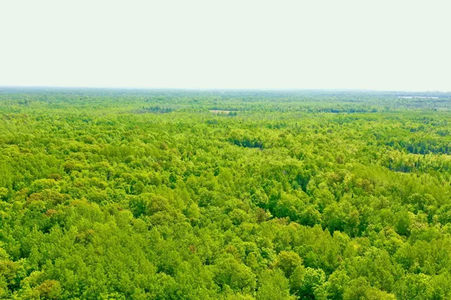 $1,200,000 | 44384 Grace Lake Road, Hinckley, MN 55037