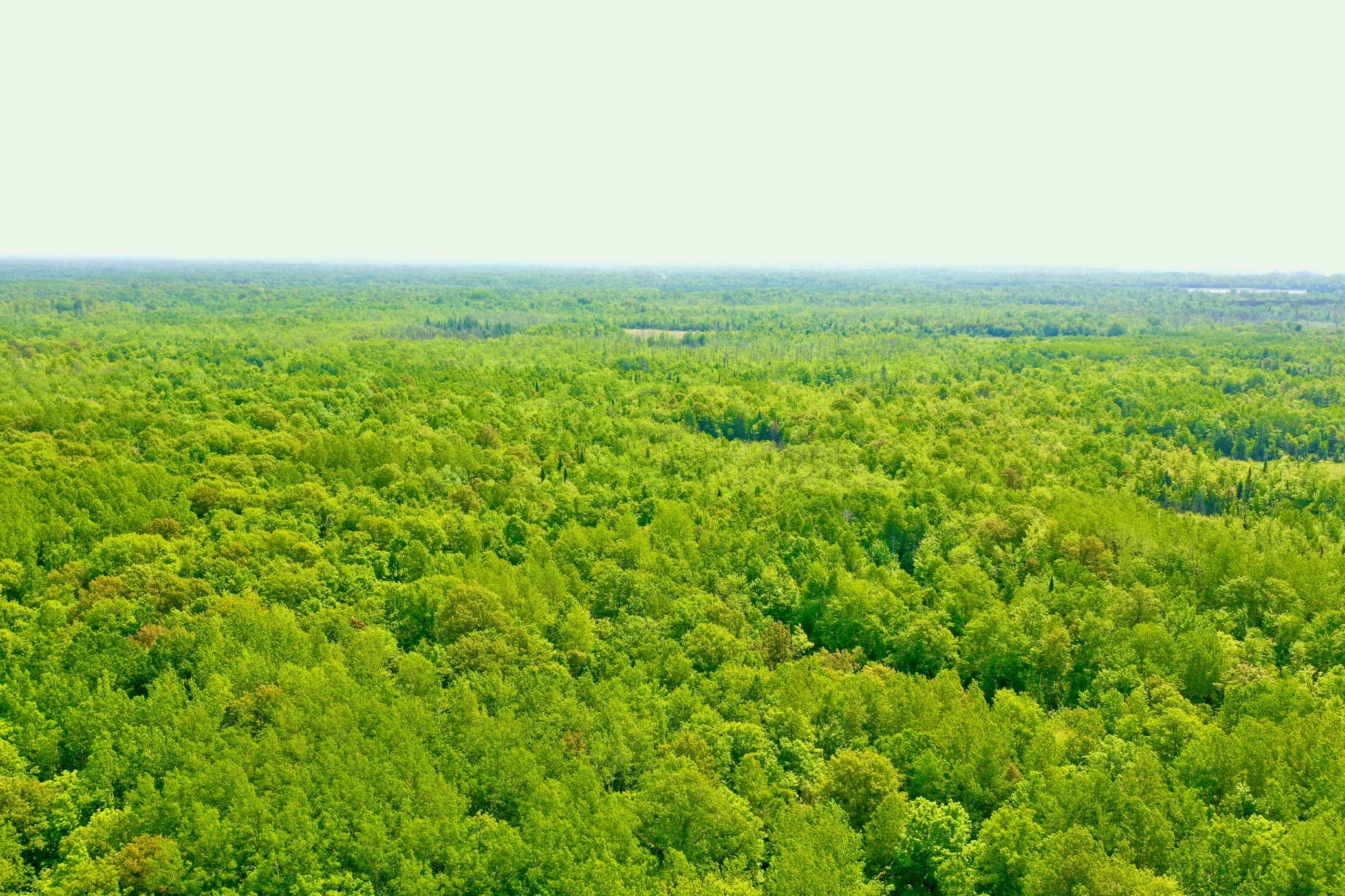 44384 Grace Lake Road Hinckley, MN 55037 - Photo 14 of 75