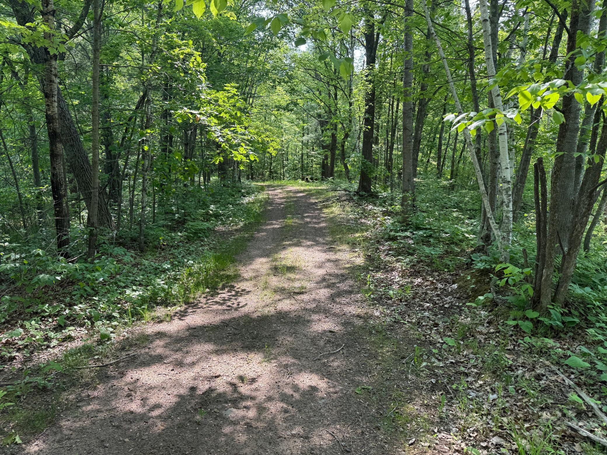 44384 Grace Lake Road Hinckley, MN 55037 - Photo 47 of 75