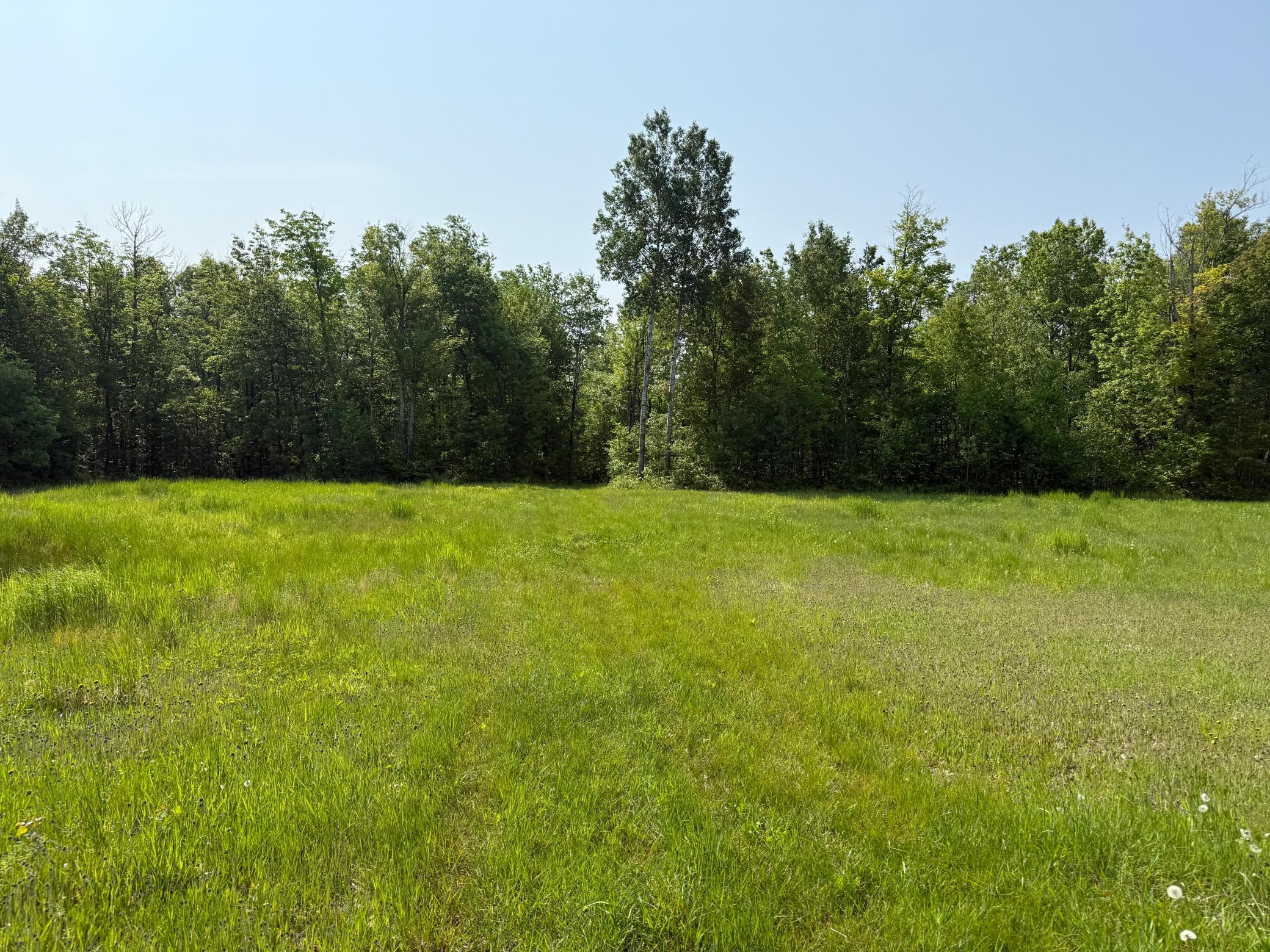 44384 Grace Lake Road Hinckley, MN 55037 - Photo 48 of 75