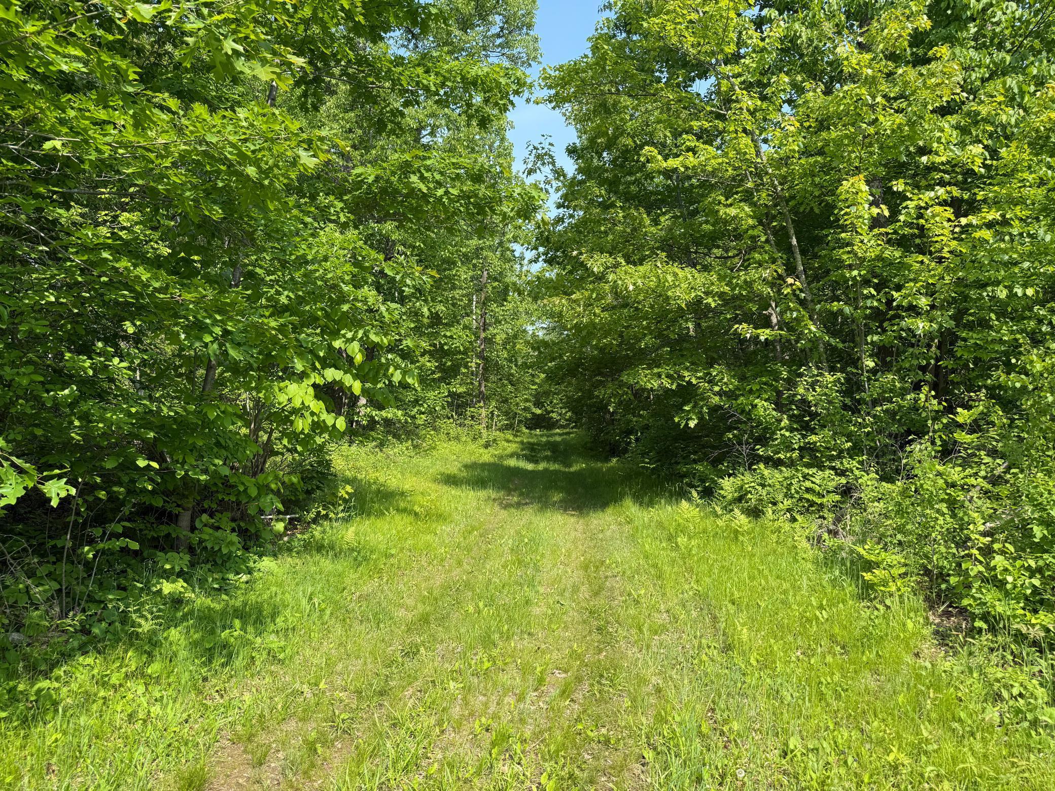 44384 Grace Lake Road Hinckley, MN 55037 - Photo 50 of 75