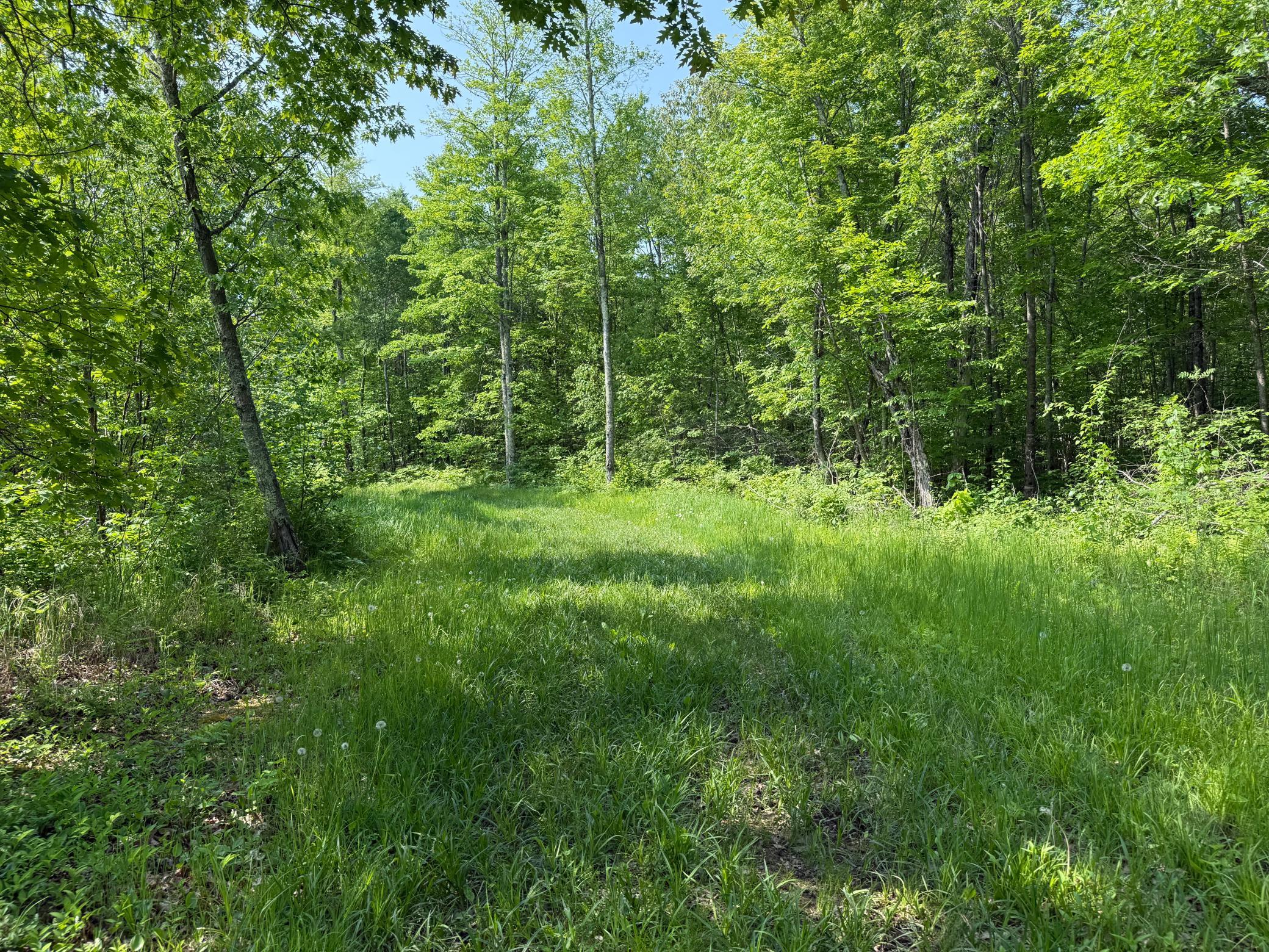 44384 Grace Lake Road Hinckley, MN 55037 - Photo 53 of 75